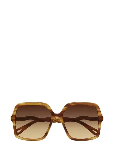 Chloé Sunglasses In Brown