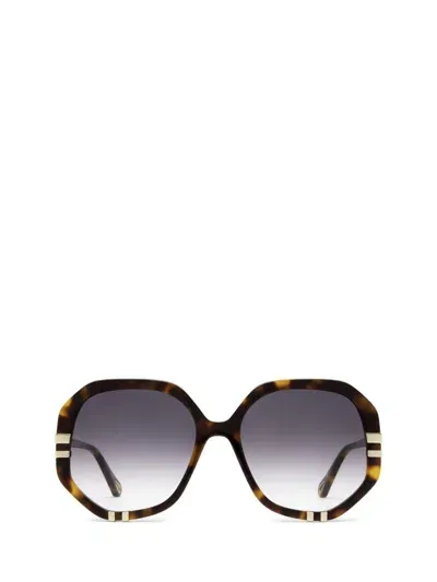 Chloé Sunglasses In Brown