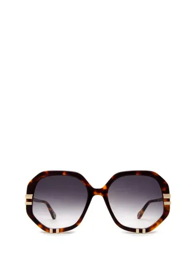 Chloé Sunglasses In Brown