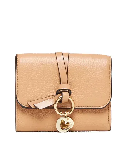 Chloé Wallet In Light Tan