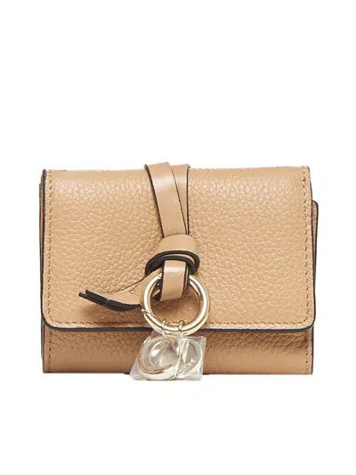 Chloé Wallets In Light Tan