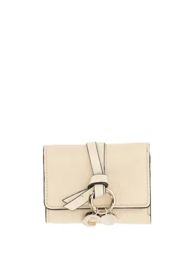 Chloé Chloè Wallets In Sweet Beige