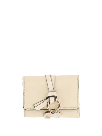 Chloé Wallets In Sweet Beige