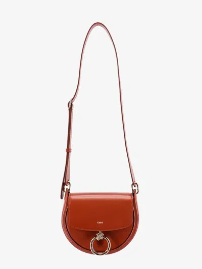 Chloé Chloe Shoulder Bags In Brown