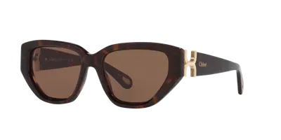 Chloé Woman Sunglass Ch0235s In Brown