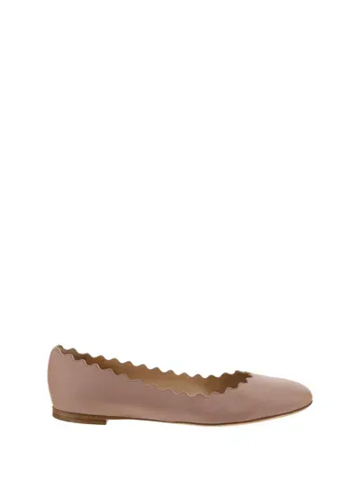 Chloé Pink Lauren Ballerina Flats In Multicolor