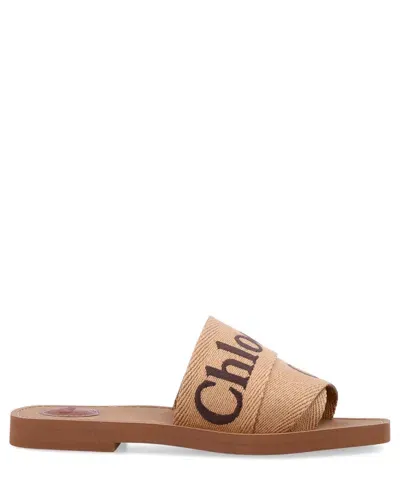 Chloé Woody Sandals In Brown