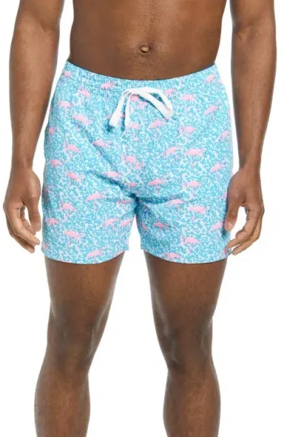 Chubbies Classic Lined 5.5-inch Swim Trunks In Bright Blue Domingos