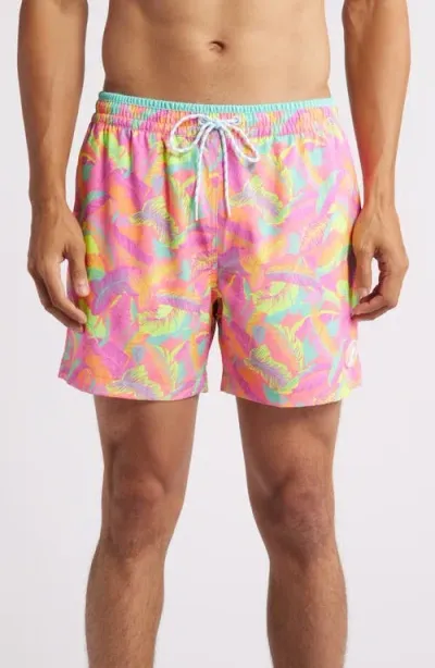 Chubbies The Palm Spring Breaks 5.5-inch Swim Trunks In Bright Pink