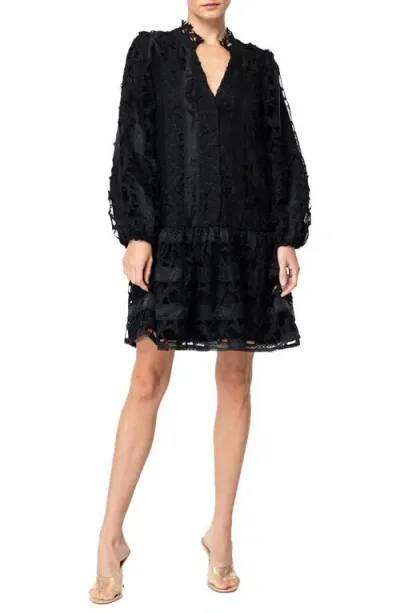 Ciebon Yvia Dragonfly Lace & Organza Drop Waist Dress In Black