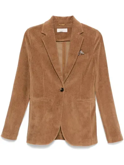 Circolo 1901 Corduroy Blazer In Brown