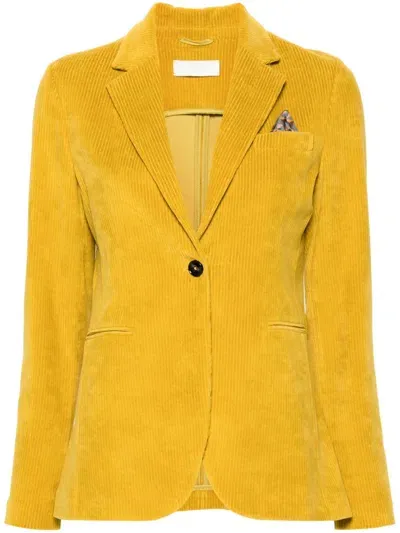 Circolo 1901 Corduroy Jacket In Yellow