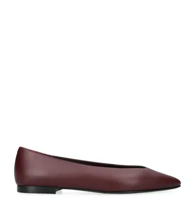 Co Leather -pointed Ballet Flats In Burgundy