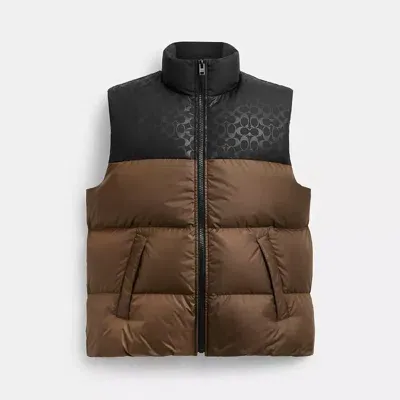 Coach Down Puffer Vest In Recycled Polyester In Dark Moss