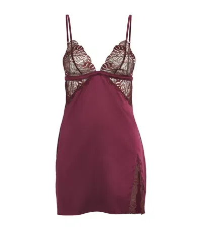 Coco De Mer Lace Slip Dress In Purple