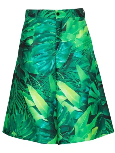 Comme Des Garçons Homme Deux Leaf-print Cotton Shorts In Green