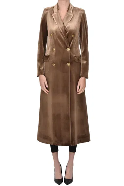 Compagnia Italiana Velvet Coat In Brown