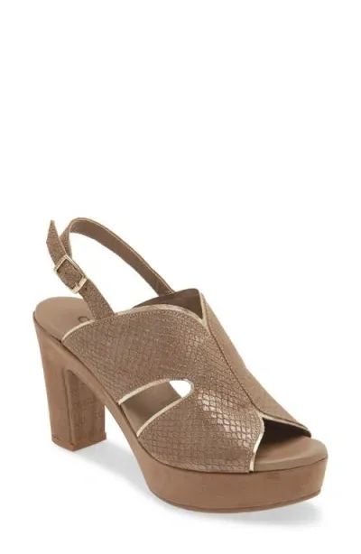 Cordani Toni Slingback Sandal In Fango Shimmer