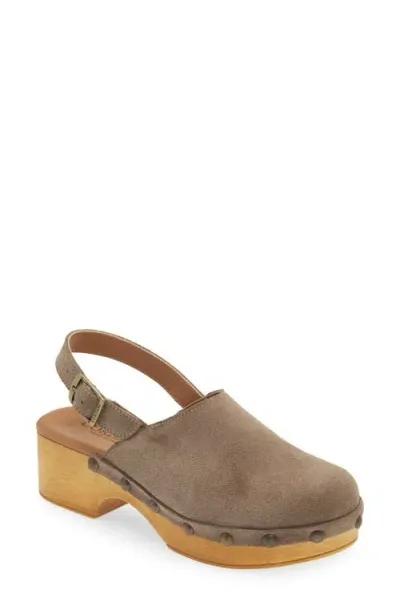 Cordani Wilkes Platform Clog In Fango Suede