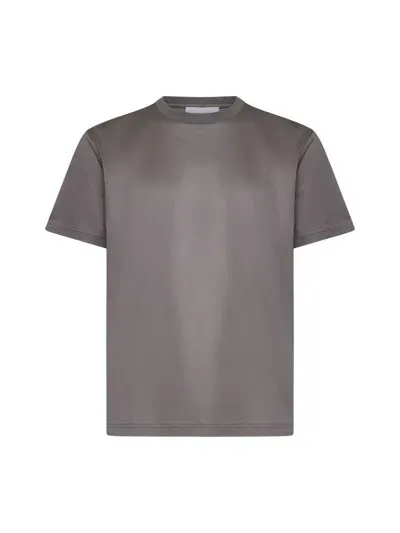 D4.0 D 4.0 T-shirts And Polos In Marrone Mastice