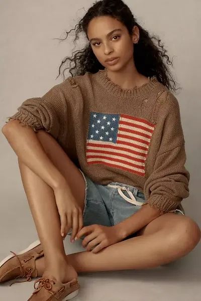 Denimist American Flag Distressed Embroidered Intarsia-knit Cotton-blend Sweater In Brown