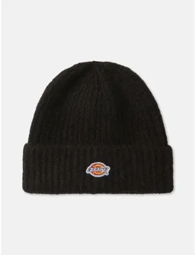 Dickies Brewton Beanie In Black