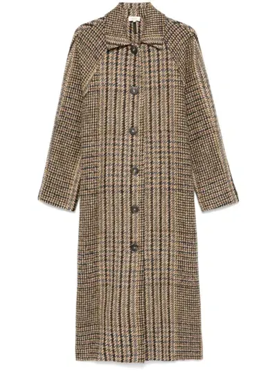 Diega Macilo Coat In Brown