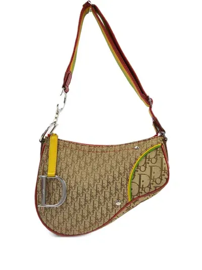 Pre-owned Dior 2004 Rasta Line Saddle Shoulder Bag In Neutrals