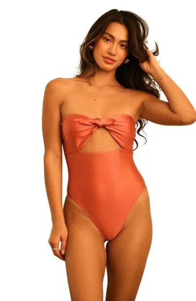 Dippin Daisys Devon One Piece In Dusty Rose