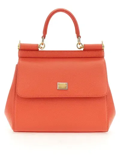 Dolce & Gabbana Shoulder Bags In Red