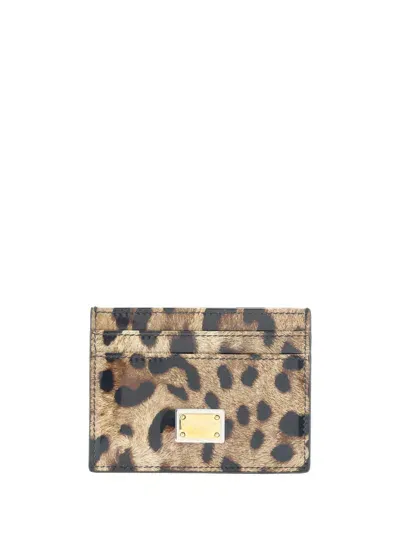 Dolce & Gabbana Card Holder In Leo