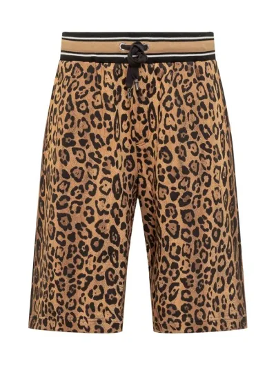 Dolce & Gabbana Shorts In Brown