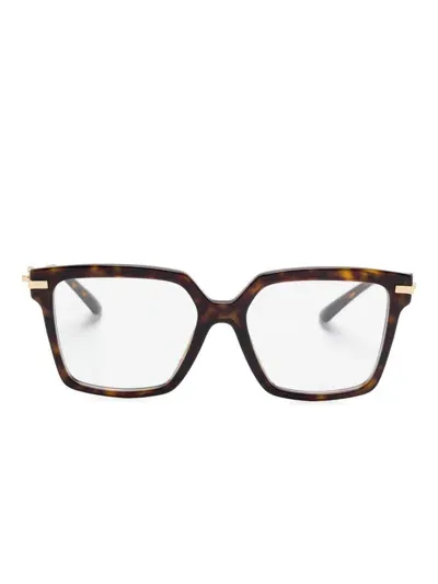 Dolce & Gabbana Dg3397 Glasses In Brown