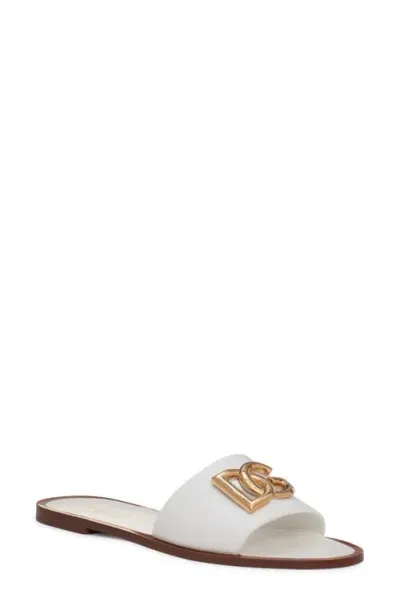 Dolce & Gabbana Slide Sandal With Logo In Multicolor