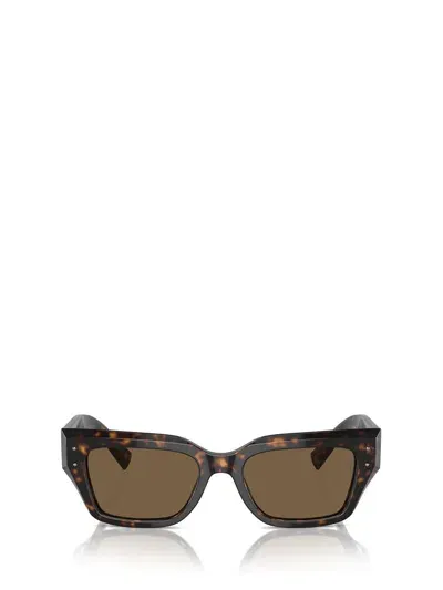 Dolce & Gabbana Eyewear In Brown