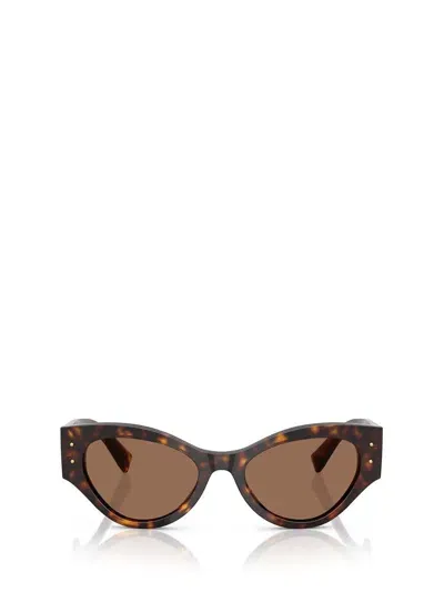 Dolce & Gabbana Dg Logo Plaque Sunglasses In Havana