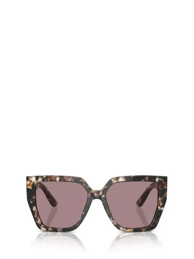 Dolce & Gabbana Women's Dg4438 55mm Sunglasses In Multi