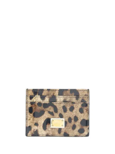 Dolce & Gabbana Printed Leather Card Holder In Multicolor