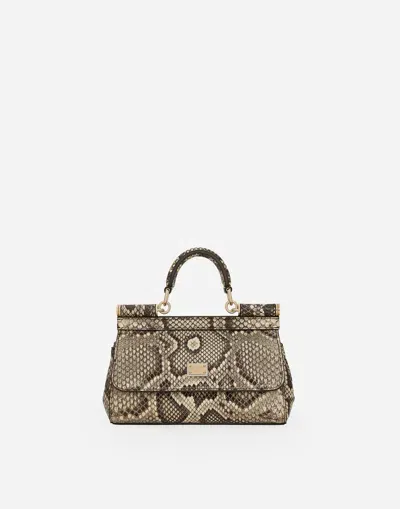 Dolce & Gabbana Small Sicily Handbag In Animal Print