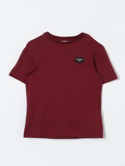 Dolce & Gabbana T-shirt  Kids Color Burgundy In 酒红