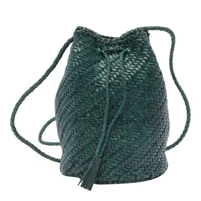 Dragon Diffusion Bags In Green