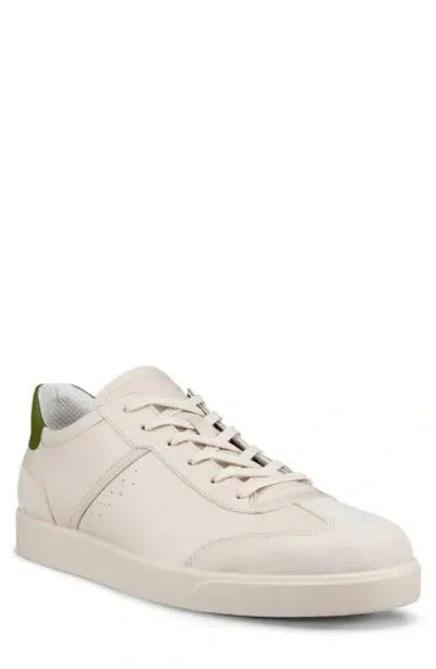 Ecco Street Lite Low Top Sneaker In Limestone/limestone/acorn