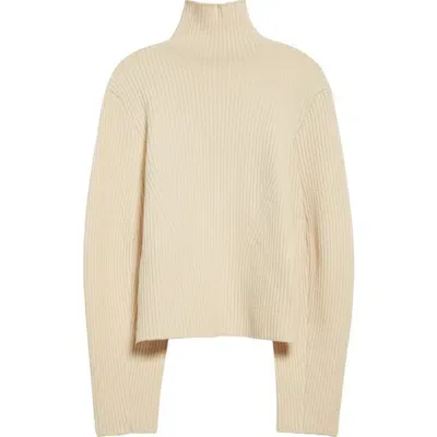 Eenk Rib Wool Blend Turtleneck Sweater In Cream