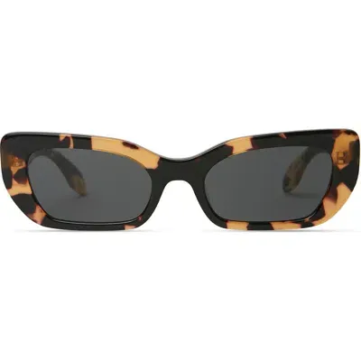 Elisa Johnson Cookie 54mm Cat Eye Sunglasses In Brown Tortoise