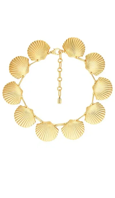 Elizabeth Cole Amalia Necklace In 金色