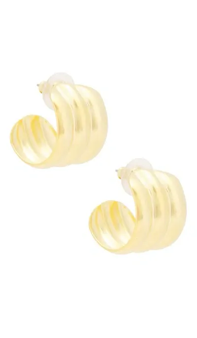 Elizabeth Cole Ribbed Earrings In É‡‘è‰²