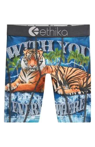 Ethika Kids' Boys   Graphic Briefs In Teal/orange