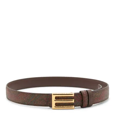 Etro Brown Multicolour Belt