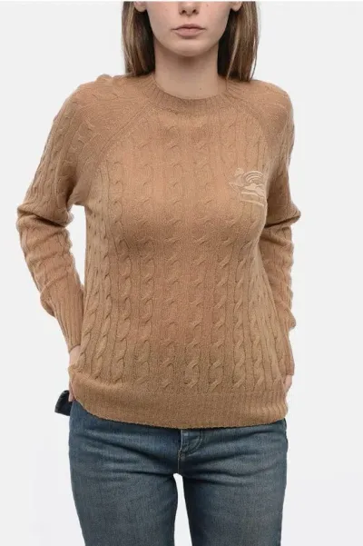 Etro Cashmere Braids Sweater With Embroidered Logo In Brown