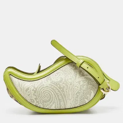 Pre-owned Etro Green/grey Paisley Coated Canvas And Python Embossed Crossbody Bag